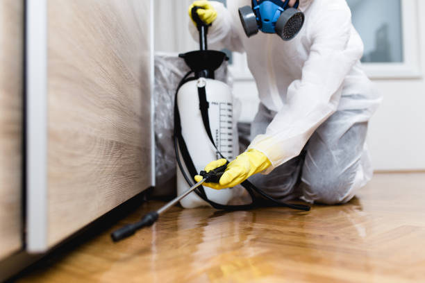 Best Best Pest Control Near Me  in Pasadena Hills, MO