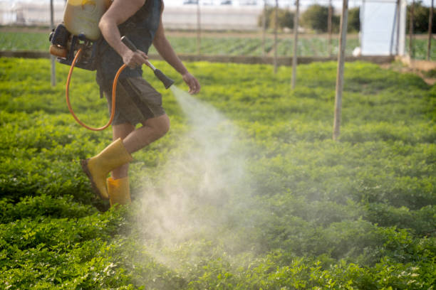 Reliable Pasadena Hills, MO Pest Control Solutions