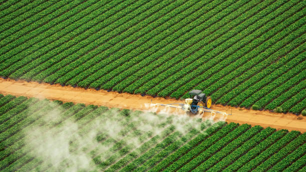 Best Commercial Pest Control Services  in Pasadena Hills, MO