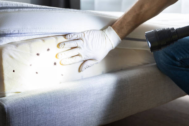 Best Pest Control for Businesses  in Pasadena Hills, MO