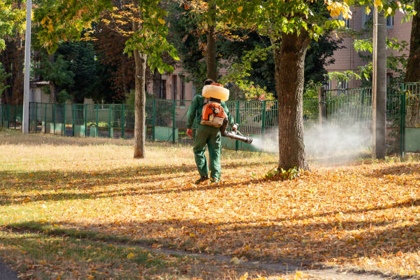 Best Insect Control  in Pasadena Hills, MO