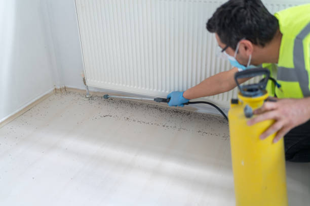 Best Pest Control for Restaurants  in Pasadena Hills, MO